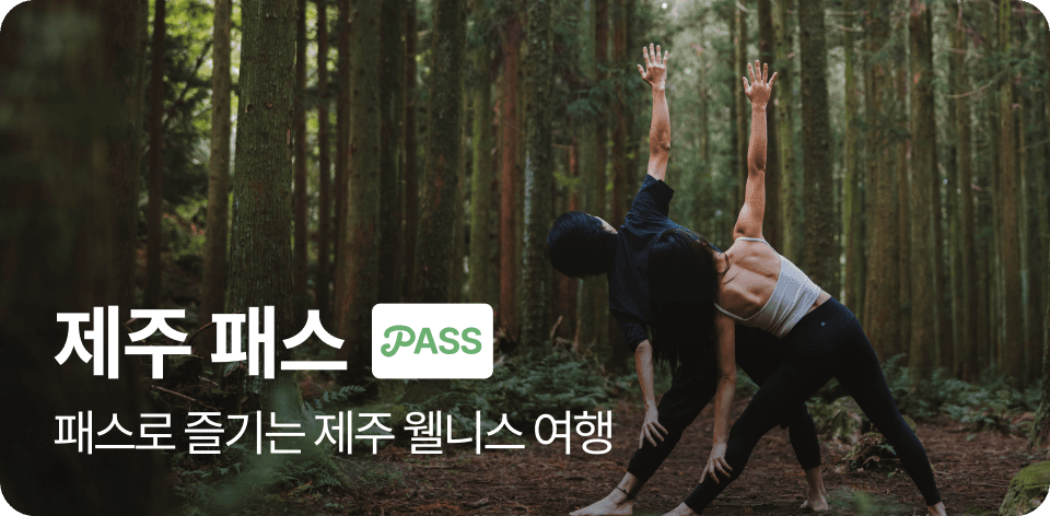 Obud Pass 2