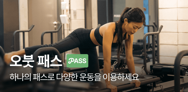 obud-pass-image